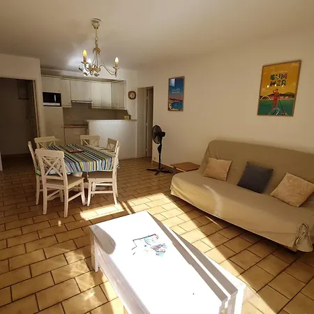 2 Pieces Climatise Avec Piscine Et Animaux Acceptes A - Fr-1-780-18 Apartment *