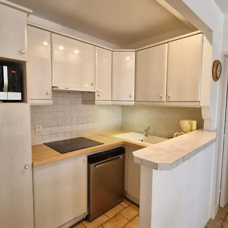 2 Pieces Climatise Avec Piscine Et Animaux Acceptes A - Fr-1-780-18 Apartment *