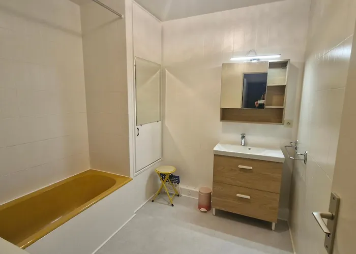 2 Pièces Climatisé, Piscine, Centre-ville, Parking Privé, Animal Accepté, - Fr-1-780-18