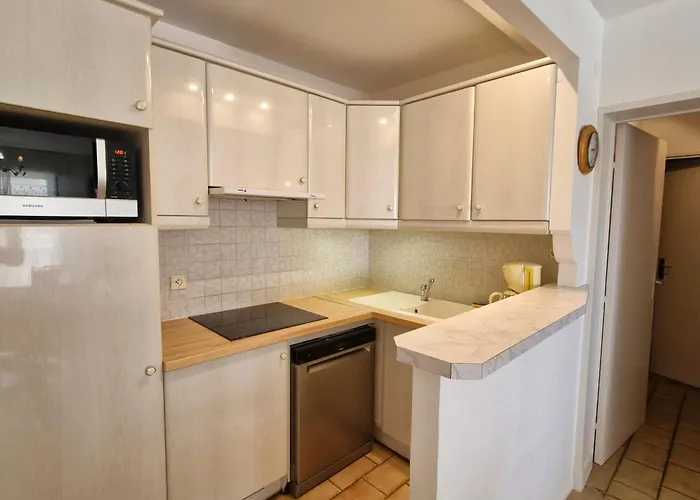 2 Pièces Climatisé, Piscine, Centre-ville, Parking Privé, Animal Accepté, - Fr-1-780-18 Apartamento *