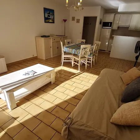 Apartment 2 Pieces Climatise, Piscine, Centre-ville, Parking Prive, Animal Accepte, - Fr-1-780-18