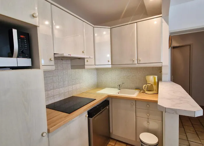 2 Pieces Climatise Avec Piscine Et Animaux Acceptes A - Fr-1-780-18 Sainte-Maxime