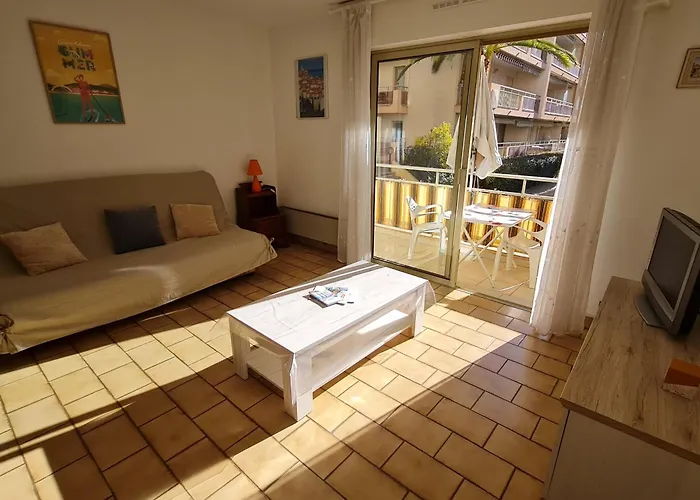 2 Pieces Climatise Avec Piscine Et Animaux Acceptes A - Fr-1-780-18 Apartment Sainte-Maxime